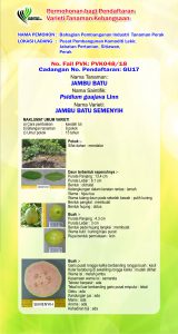 4. JAMBU BATU SEMENYIH