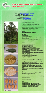 DURIAN ADIK MANJA