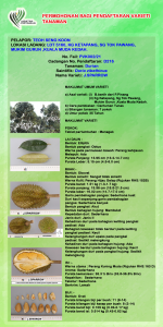 DURIAN J.SPARROW