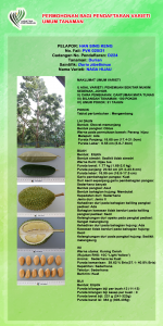 DURIAN NAGA HIJAU