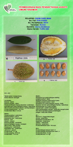 TUPAI 226 LOW