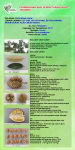 DURIAN JERAI