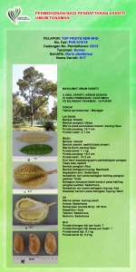DURIAN S17